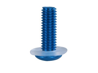 OXFORD Screen Screw - Blue