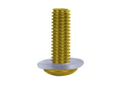 OXFORD Screen Screw - Gold