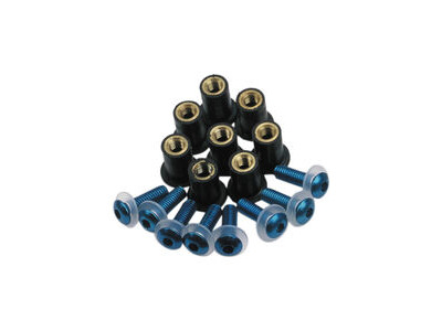 OXFORD Screen Screw - Blue