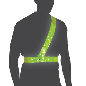 OXFORD Bright Belt - Large 