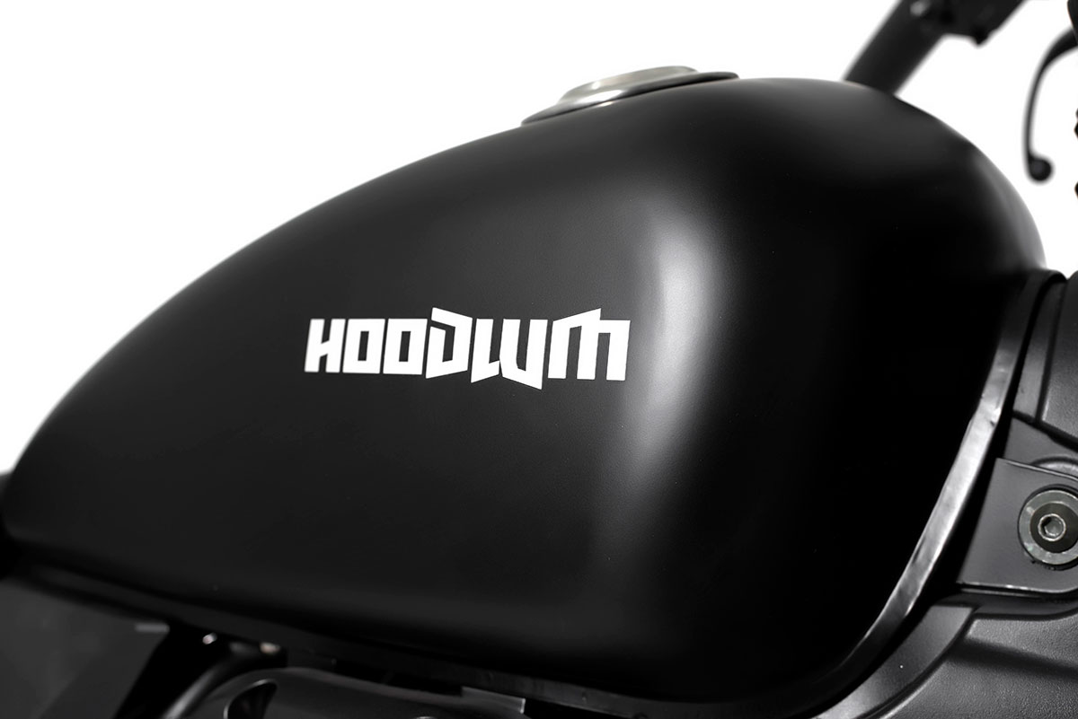 sinnis hoodlum saddlebags