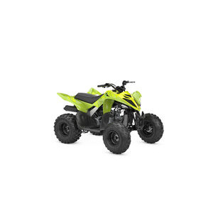 YAMAHA YFM 110R 2WD  Acid Green  click to zoom image