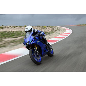 YAMAHA YZF R125 click to zoom image