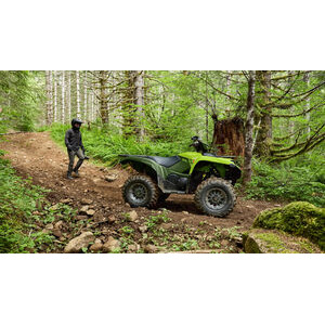 YAMAHA Grizzly 700 EPS click to zoom image