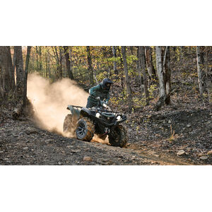 YAMAHA Grizzly 700 EPS XT-R click to zoom image