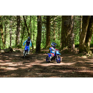 YAMAHA PW 50 click to zoom image