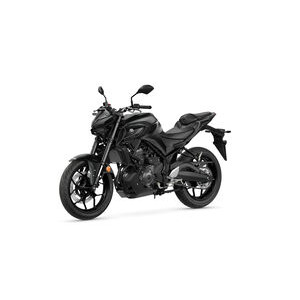 YAMAHA MT-03 click to zoom image