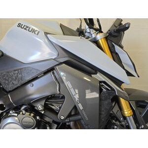 SUZUKI GSXS 1000 click to zoom image