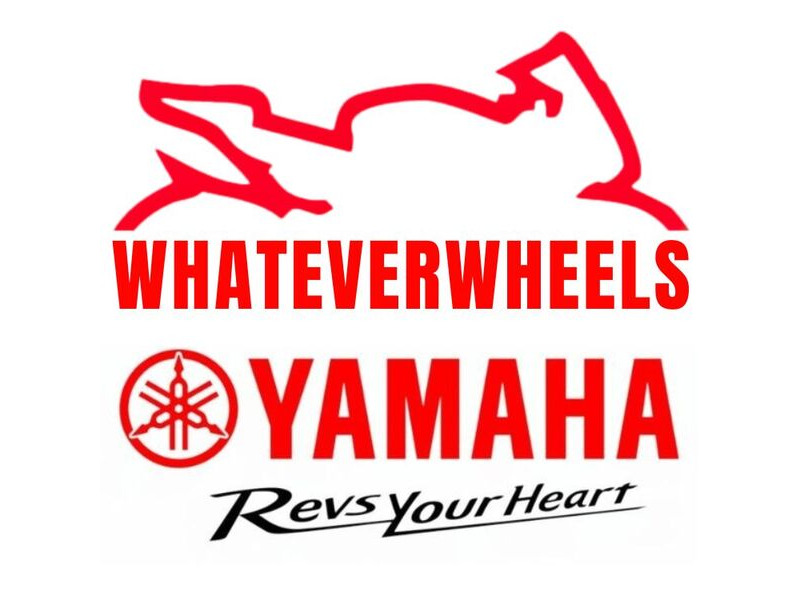 SUZUKI GSXS 1000 click to zoom image