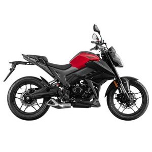 LEXMOTO LS-Z 125  Grey / Red  click to zoom image