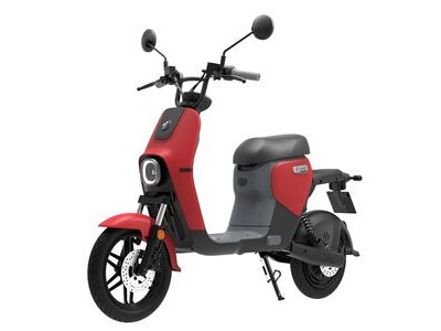 SEGWAY B110S Electric Moped