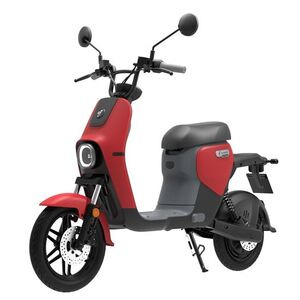 SEGWAY B110S Electric Moped 2024