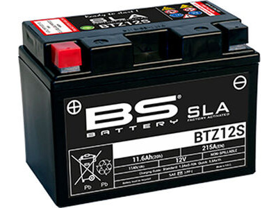 BS BATTERIES BTZ12S