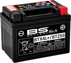 BS BATTERIES BTX4LFA 