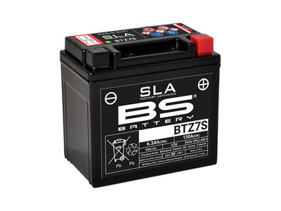 BS BATTERIES BTZ7S [8]