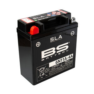 BS BATTERIES 6N11A-4A SLA (WC) Factory Activated Battery 