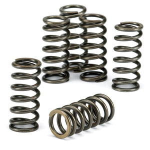 EBC BRAKES Clutch Spring Kit CSK102 