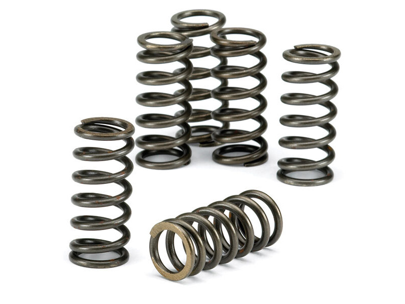 EBC BRAKES Clutch Spring Kit CSK012 click to zoom image