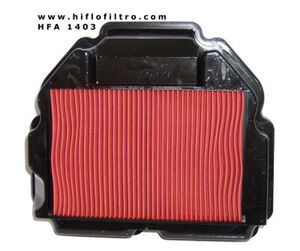 HIFLOFILTRO HFA1403 Air Filter 