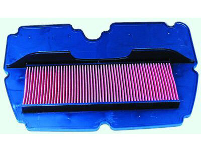 HIFLOFILTRO HFA1901 Air Filter