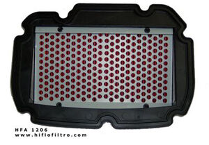 HIFLOFILTRO HFA1206 Air Filter-SPECIAL ORDER 