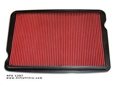 HIFLOFILTRO HFA1207 Air Filter-SPECIAL ORDER