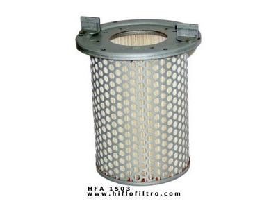 HIFLOFILTRO HFA1503 Air Filter-SPECIAL ORDER