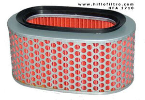 HIFLOFILTRO HFA1710 Air Filter 
