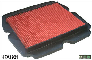 HIFLOFILTRO HFA1921 Air Filter 