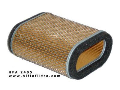 HIFLOFILTRO HFA2405 Air Filter-SPECIAL ORDER