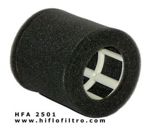 HIFLOFILTRO HFA2501 Air Filter 