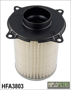 HIFLOFILTRO HFA3803 Air Filter 