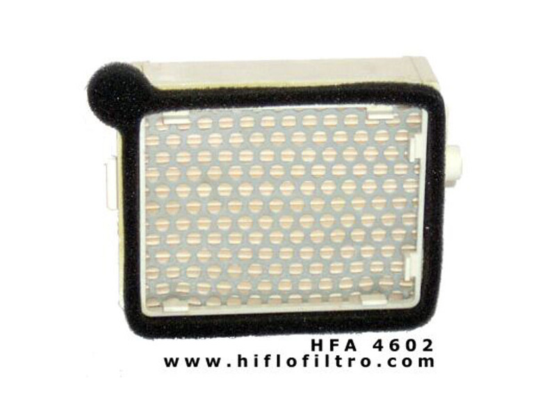 HIFLOFILTRO HFA4602 Air Filter-SPECIAL ORDER click to zoom image