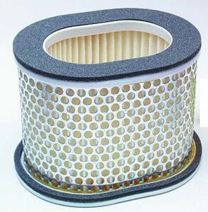 HIFLOFILTRO HFA4902 Air Filter 