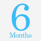 ROAD USE (6 month tax)